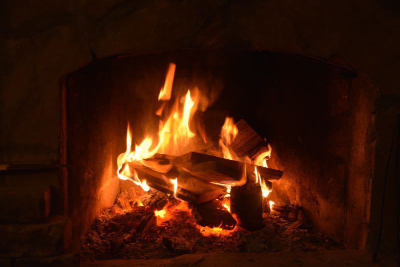 What is the best firewood to burn?